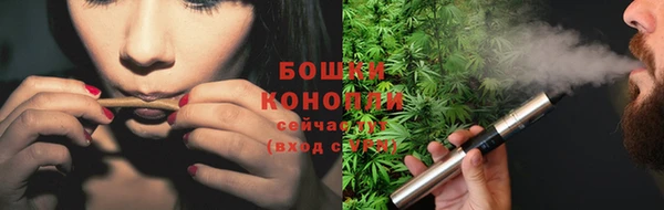 спайс Арсеньев