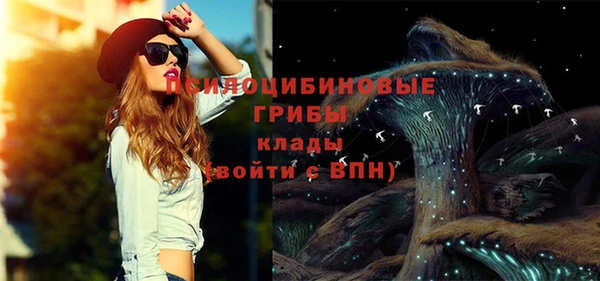 винт Армянск